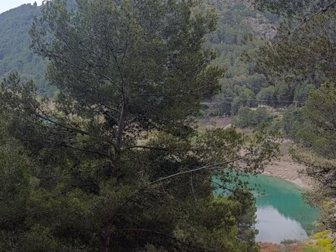 Cascada de Fonts d'Algar rodeada de vegetación con agua turquesa