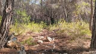 Furgoneta Multivan Volkswagen en la carretera del valle de Guadalest
